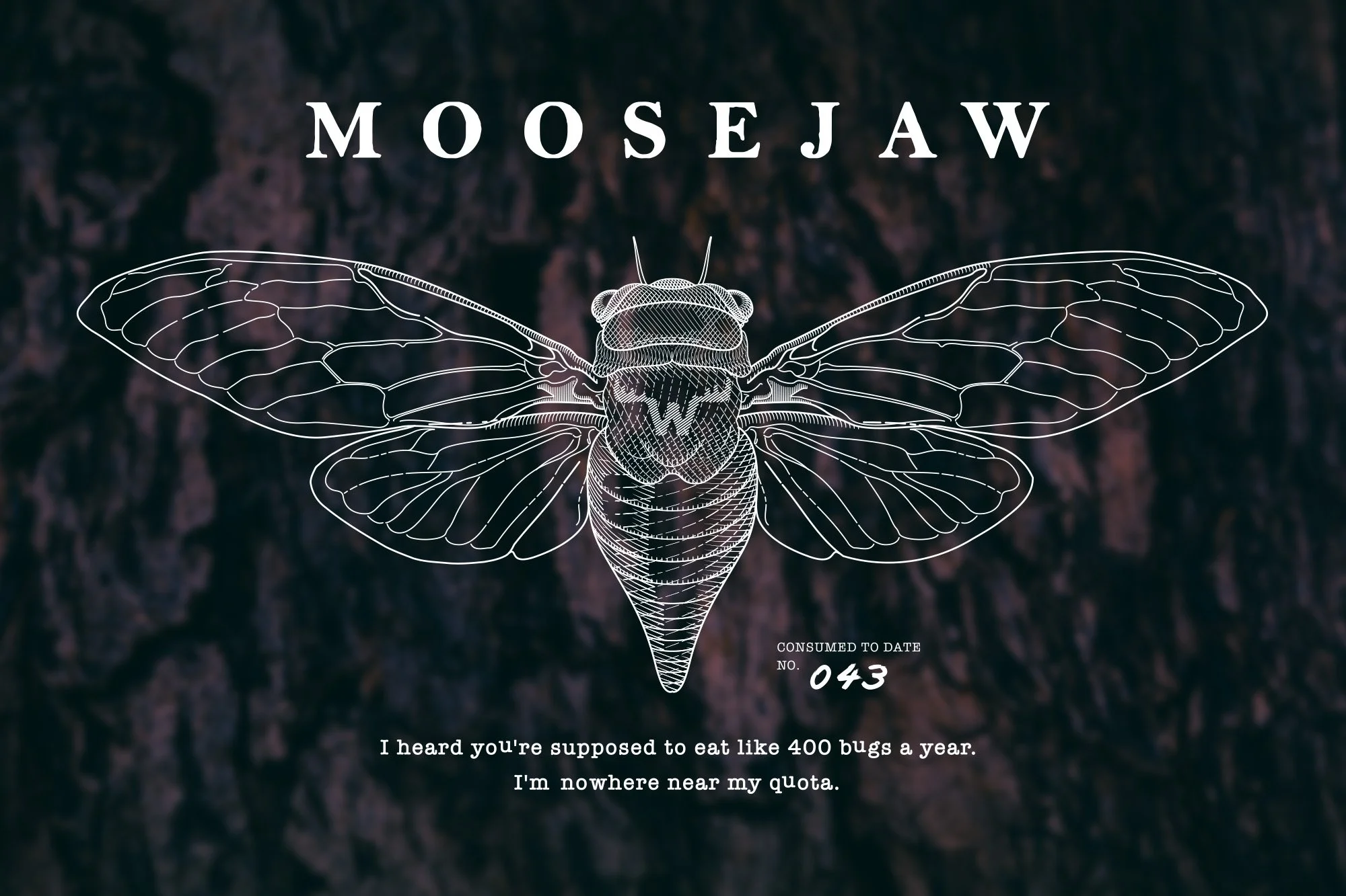 pollauf-moosejaw-illustration-tee-cicada.jpg
