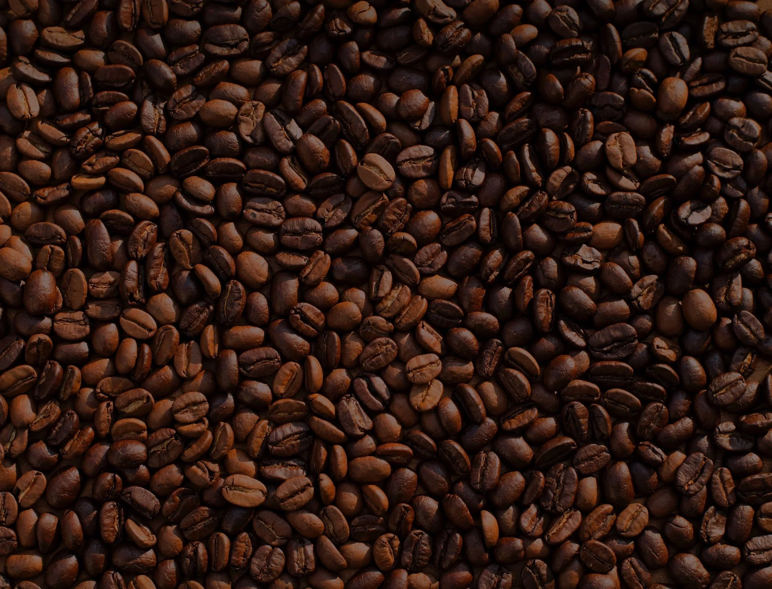 Rise Coffee Company