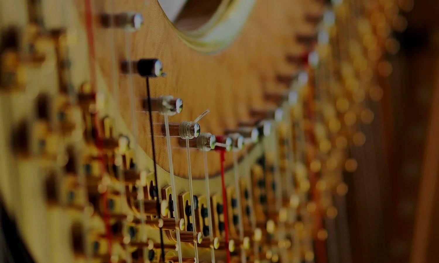 Harp Branding