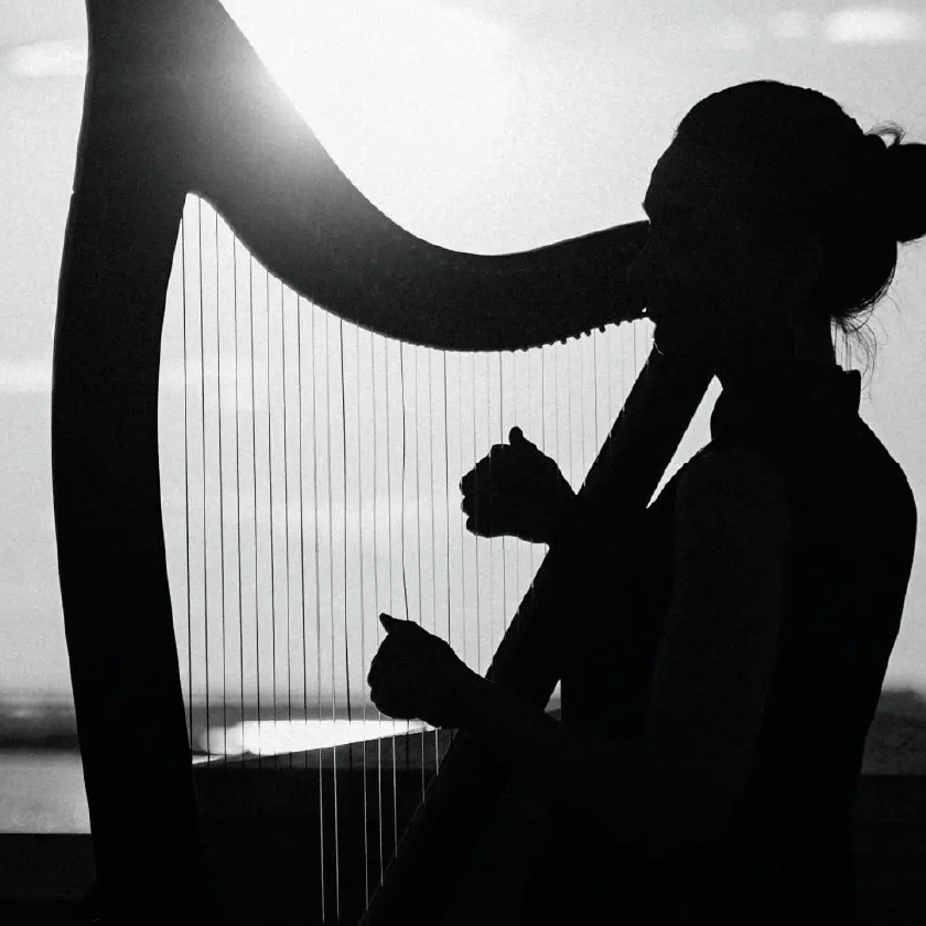 pollauf-design-jp-harp-image-a.png