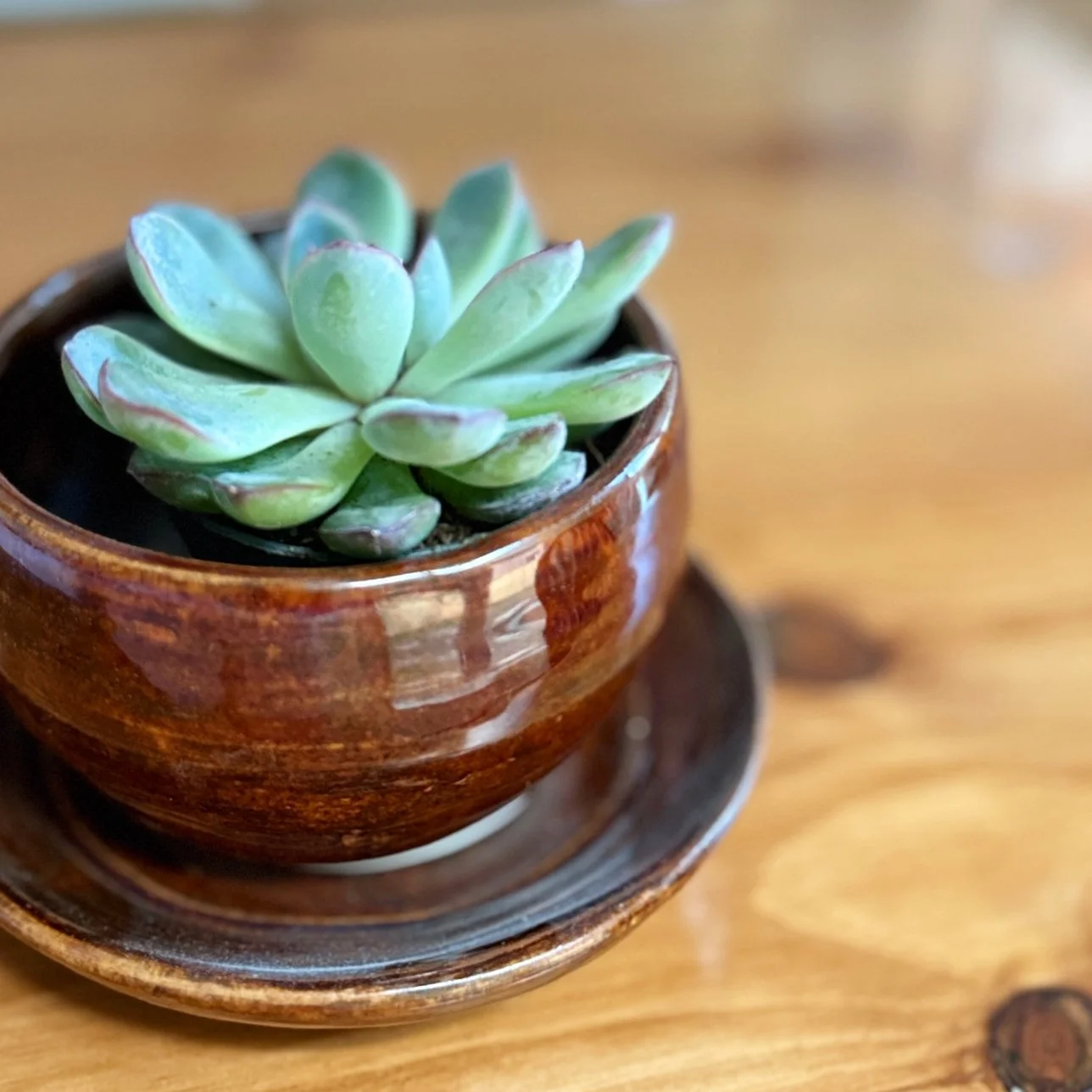 Planter w/Saucer