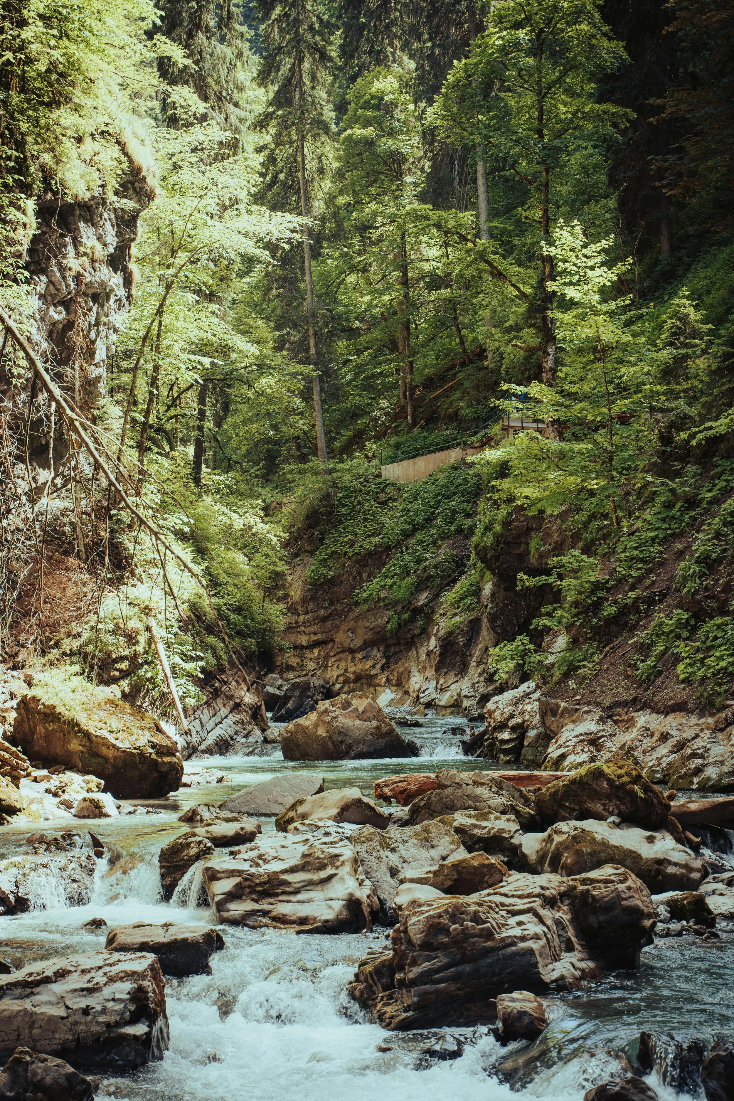 A mountain stream flowing through a lush green forest with rocks along the water's edge and trees on both sides.