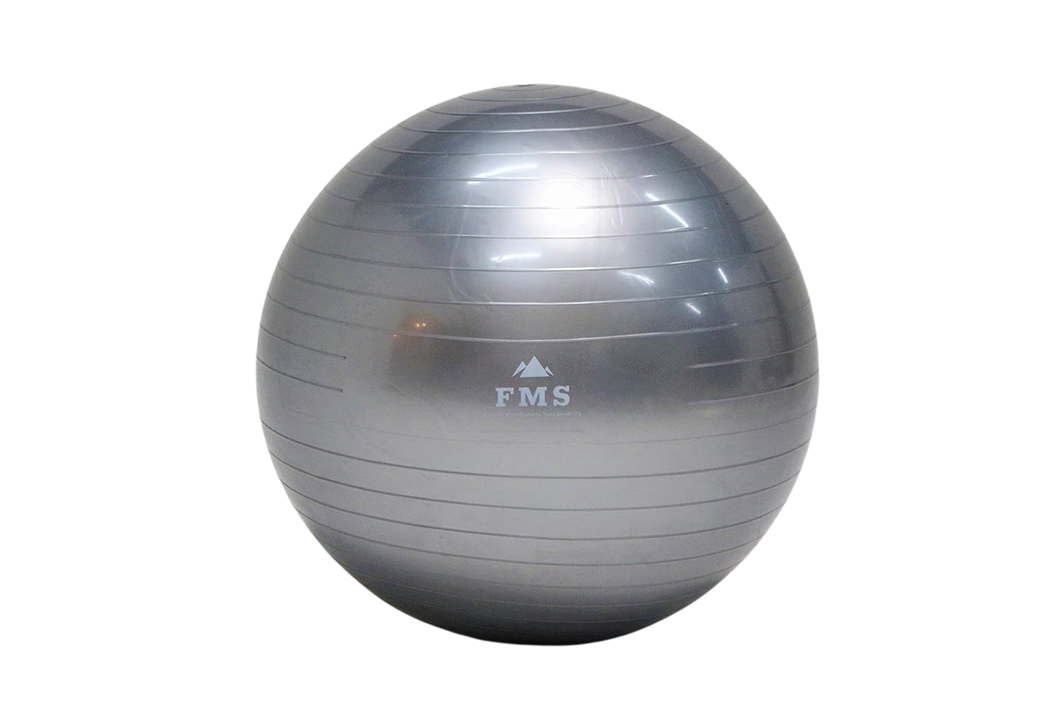 65cm Stability Ball