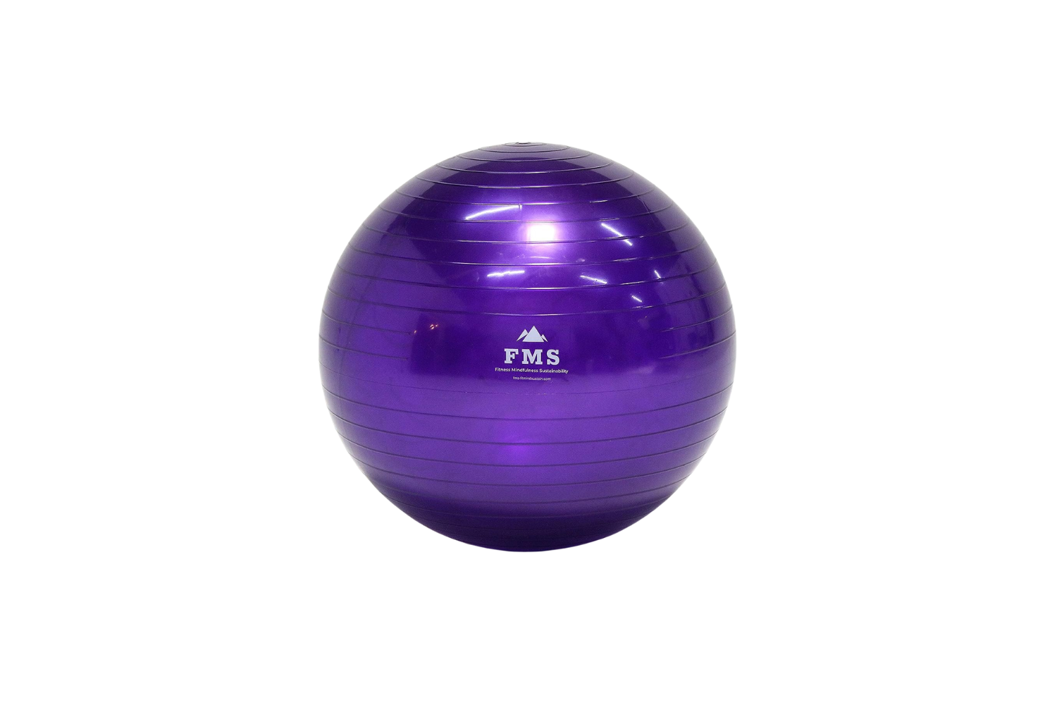 65cm Stability Ball
