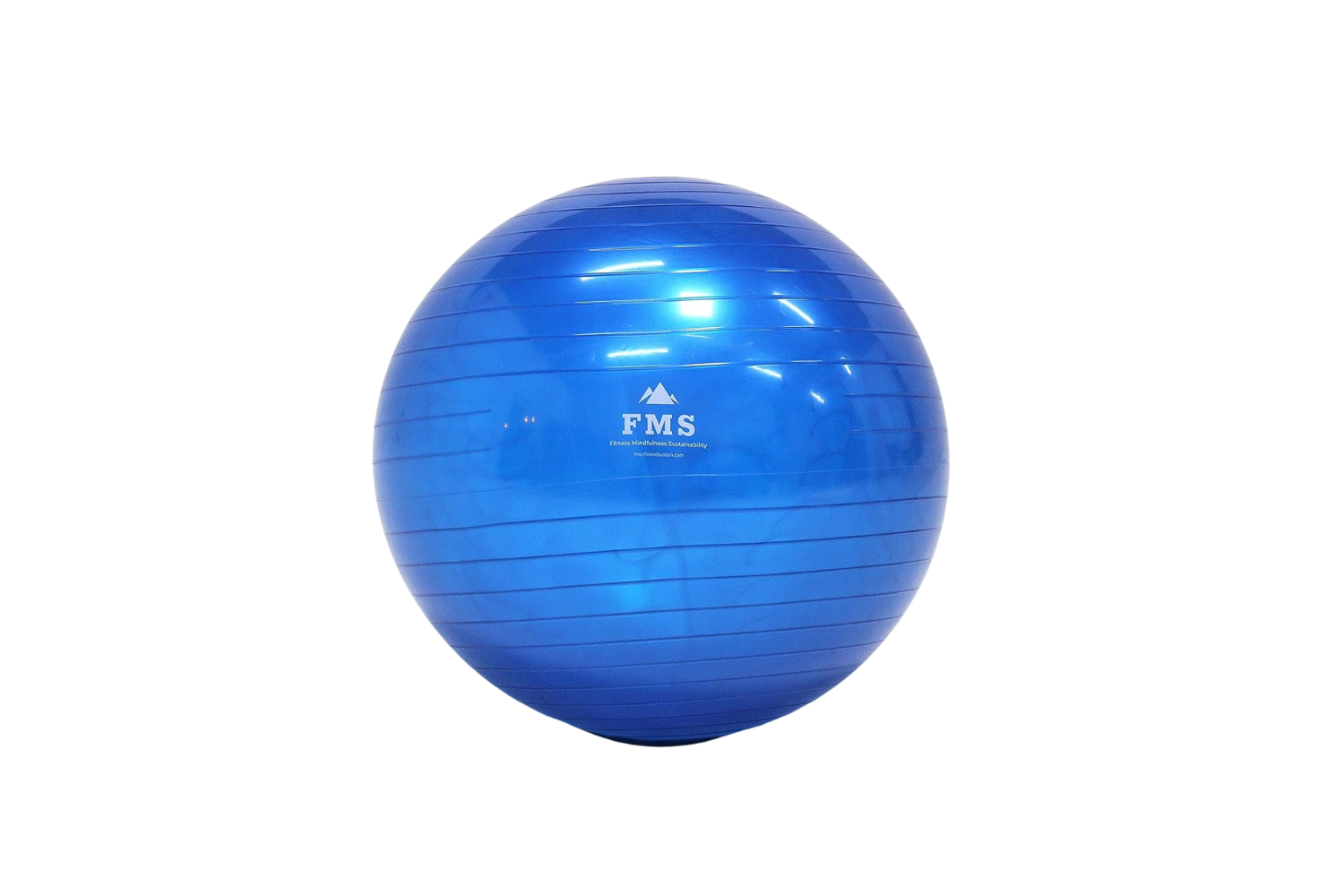 65cm Stability Ball