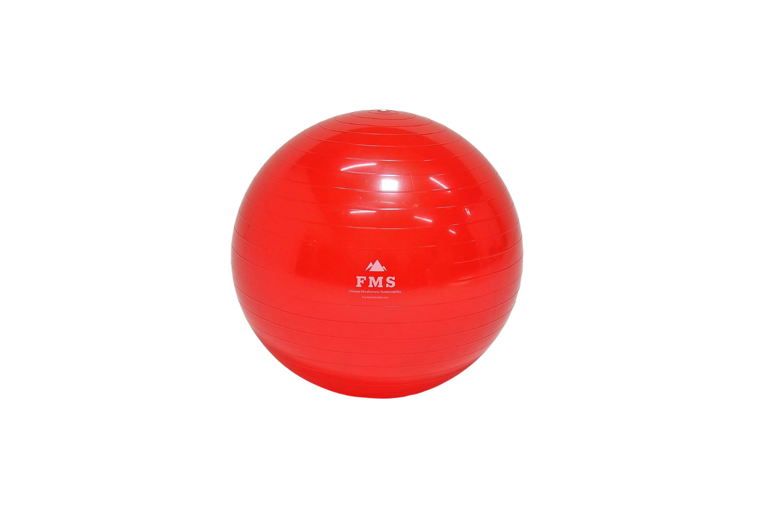 65cm Stability Ball