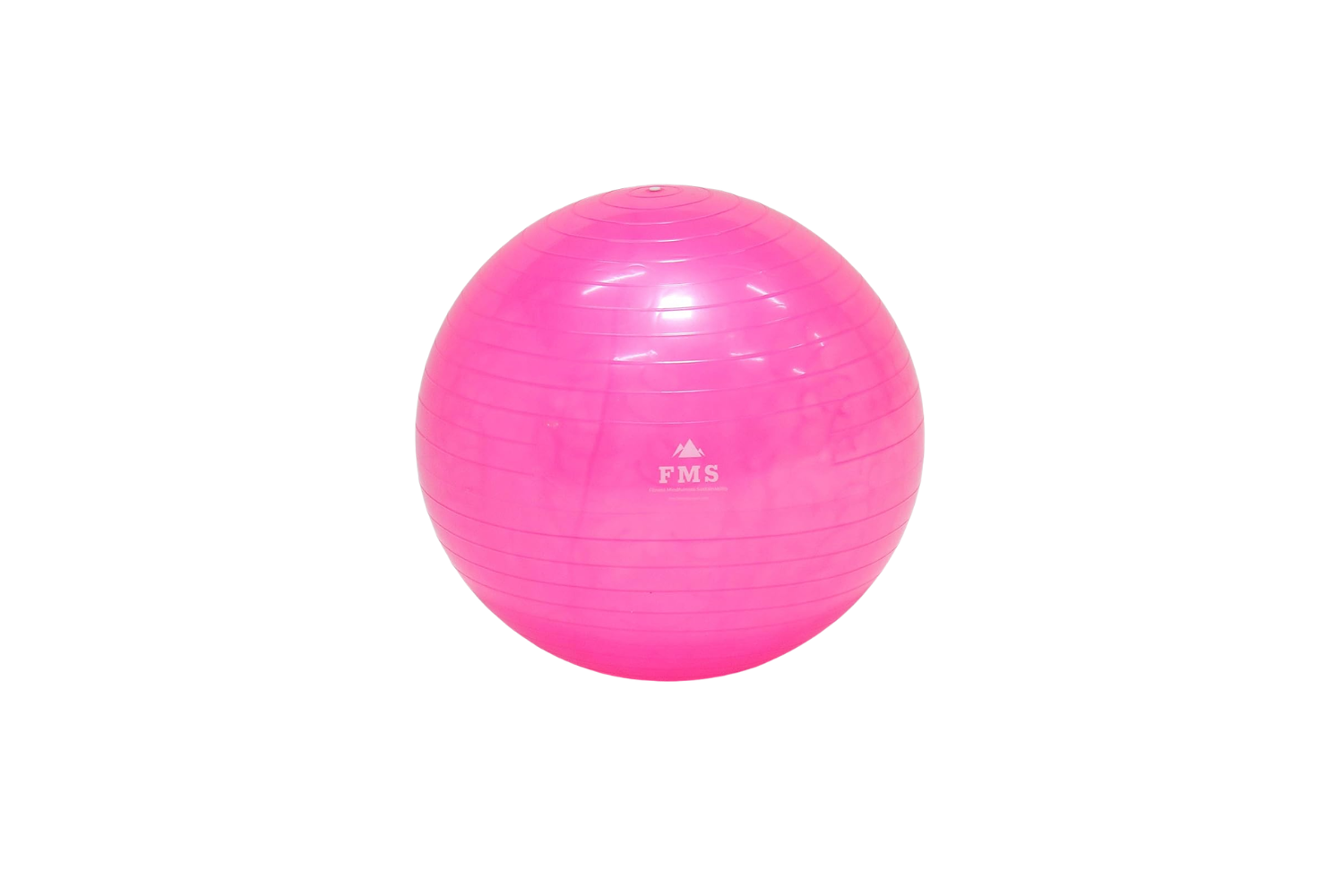 65cm Stability Ball