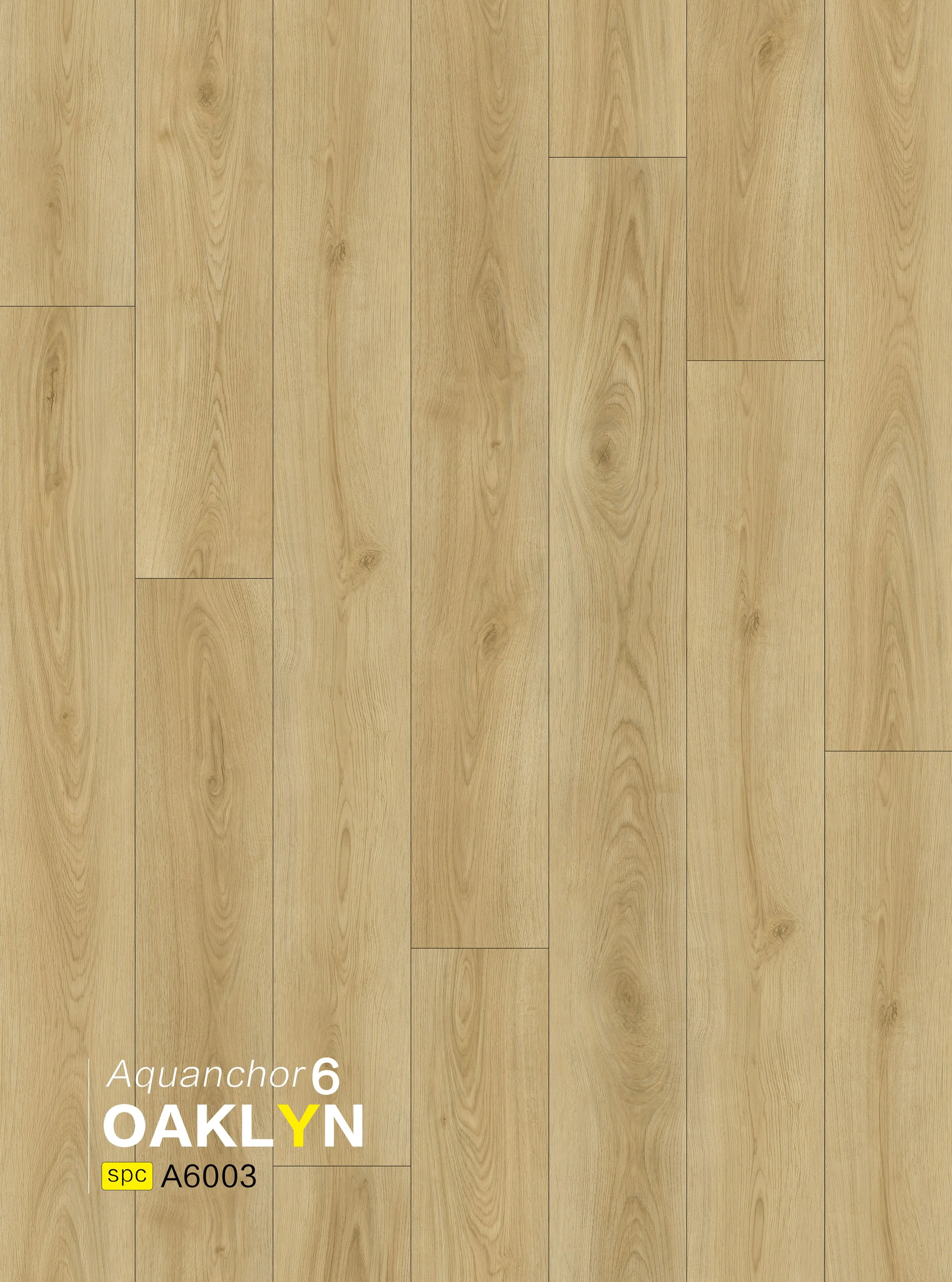 A6003 OAKLYN