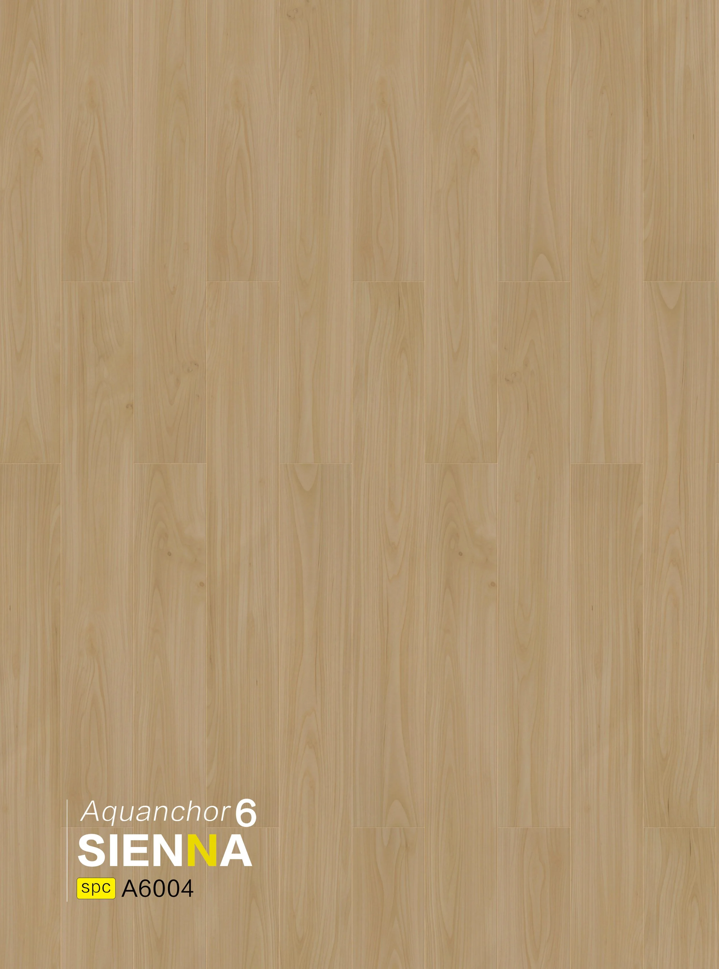 A6004 SIENNA