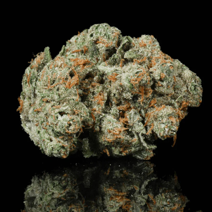 Sherb Cream Pie