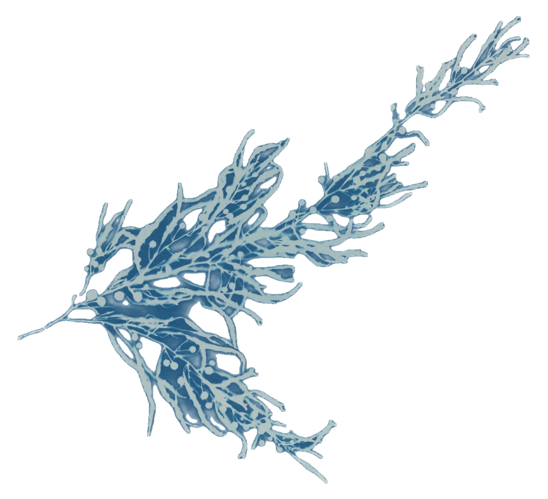 A stylized, artistic illustration of a branch with leaves, depicted in shades of blue and white, against a colorful digital background with pink, purple, blue, and brown elements.