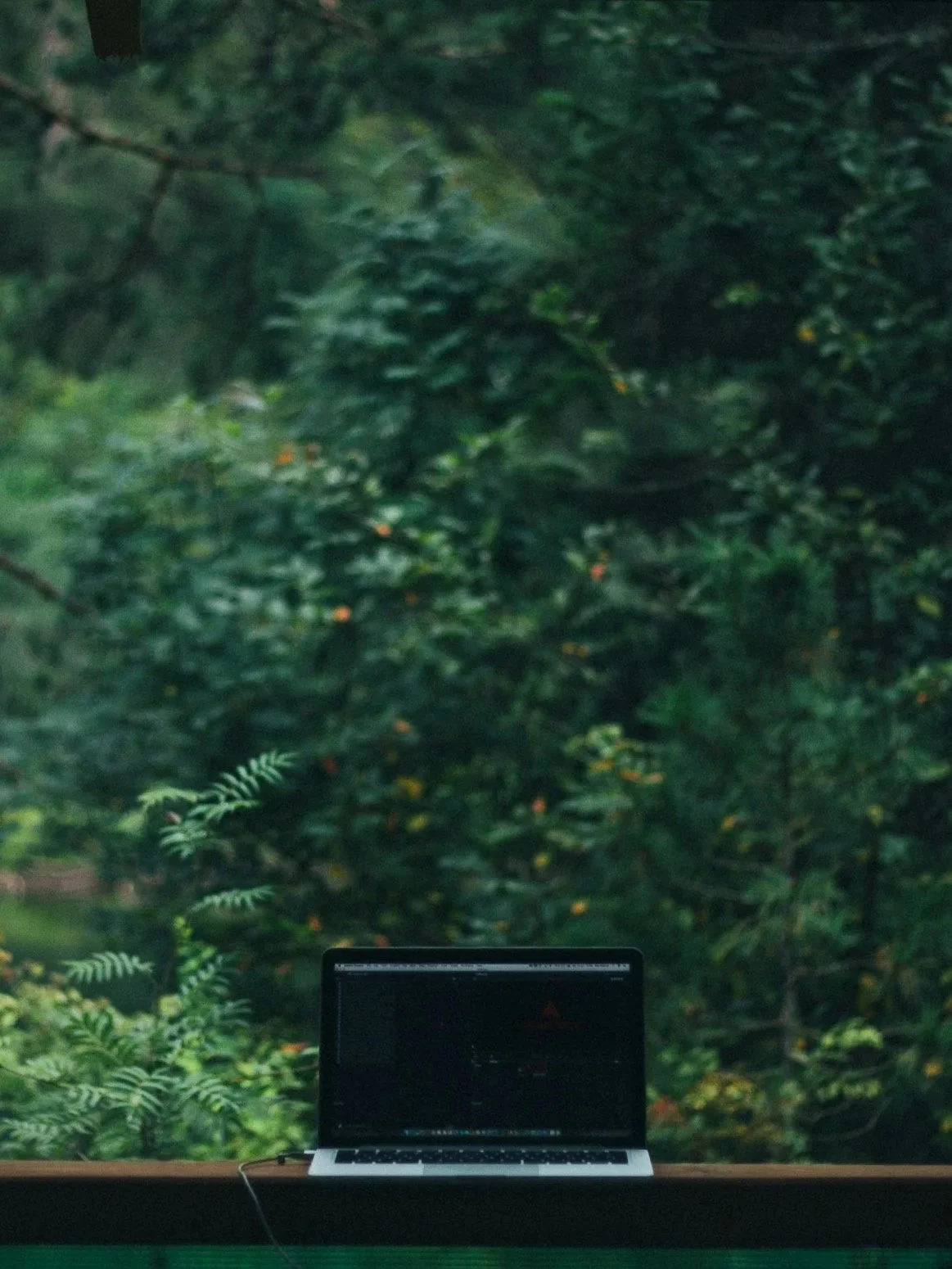 SEO strategy for wellness brands — Maywell digital marketing for health coaches and retreat centres