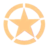 A gold star with a circular border around it.