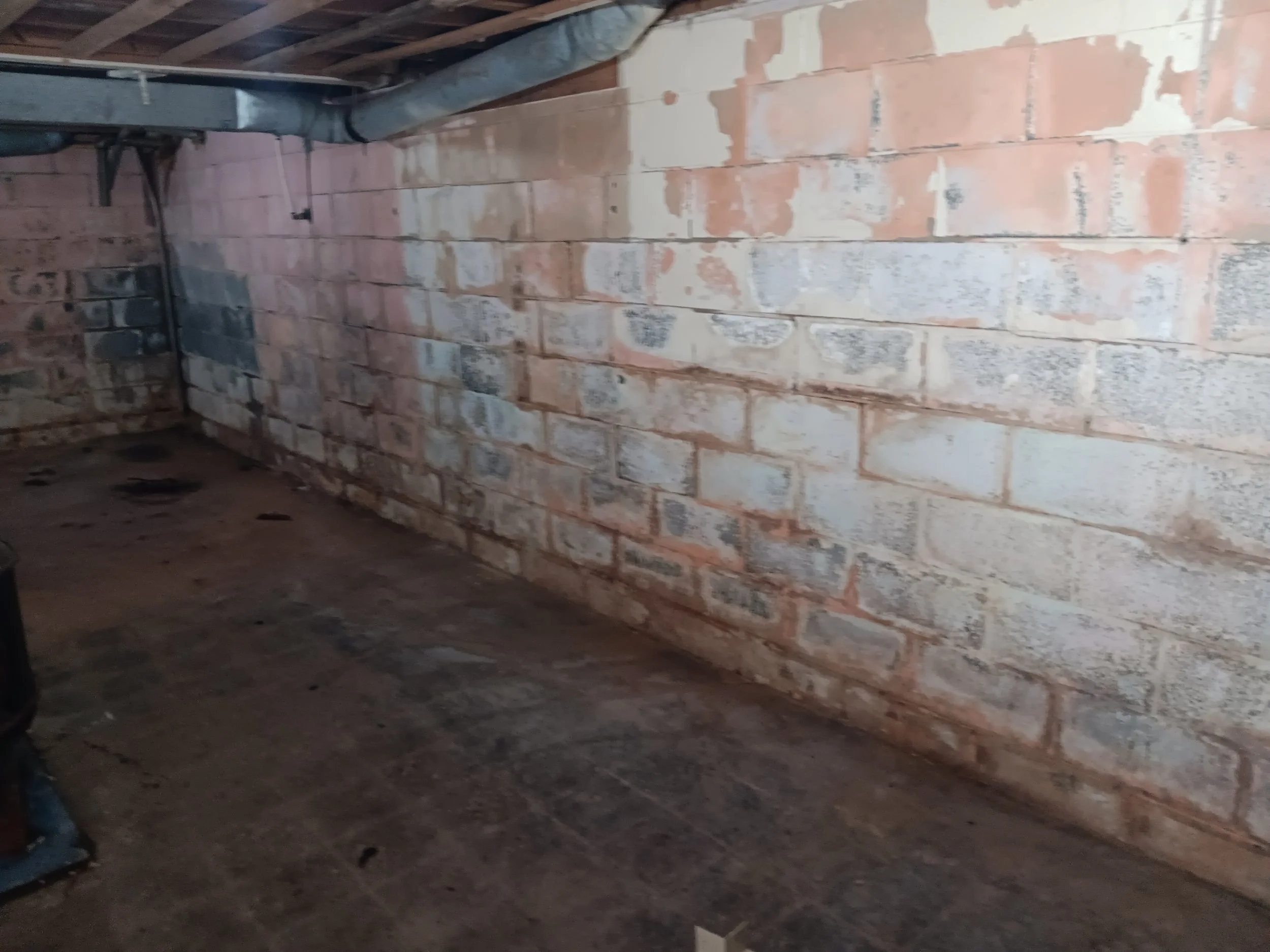 basement before .jpg