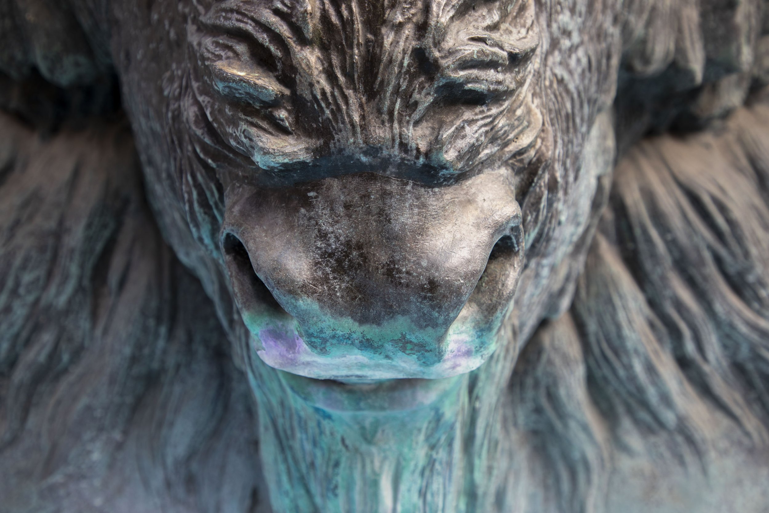 Small Steps Create Big Shifts 