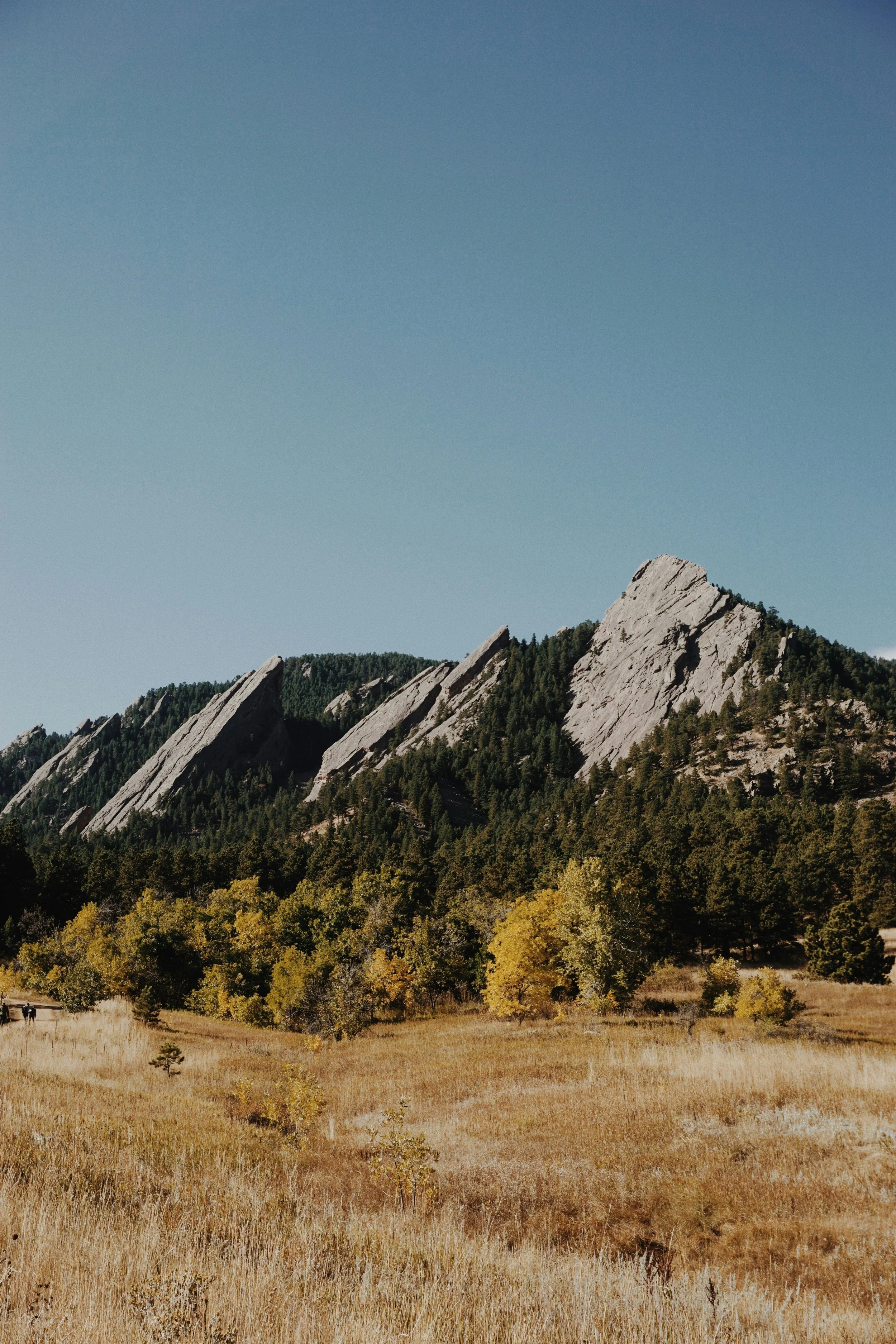 Scenic mountain landscape with rocky peaks, trees, and a field under a clear blue sky.
