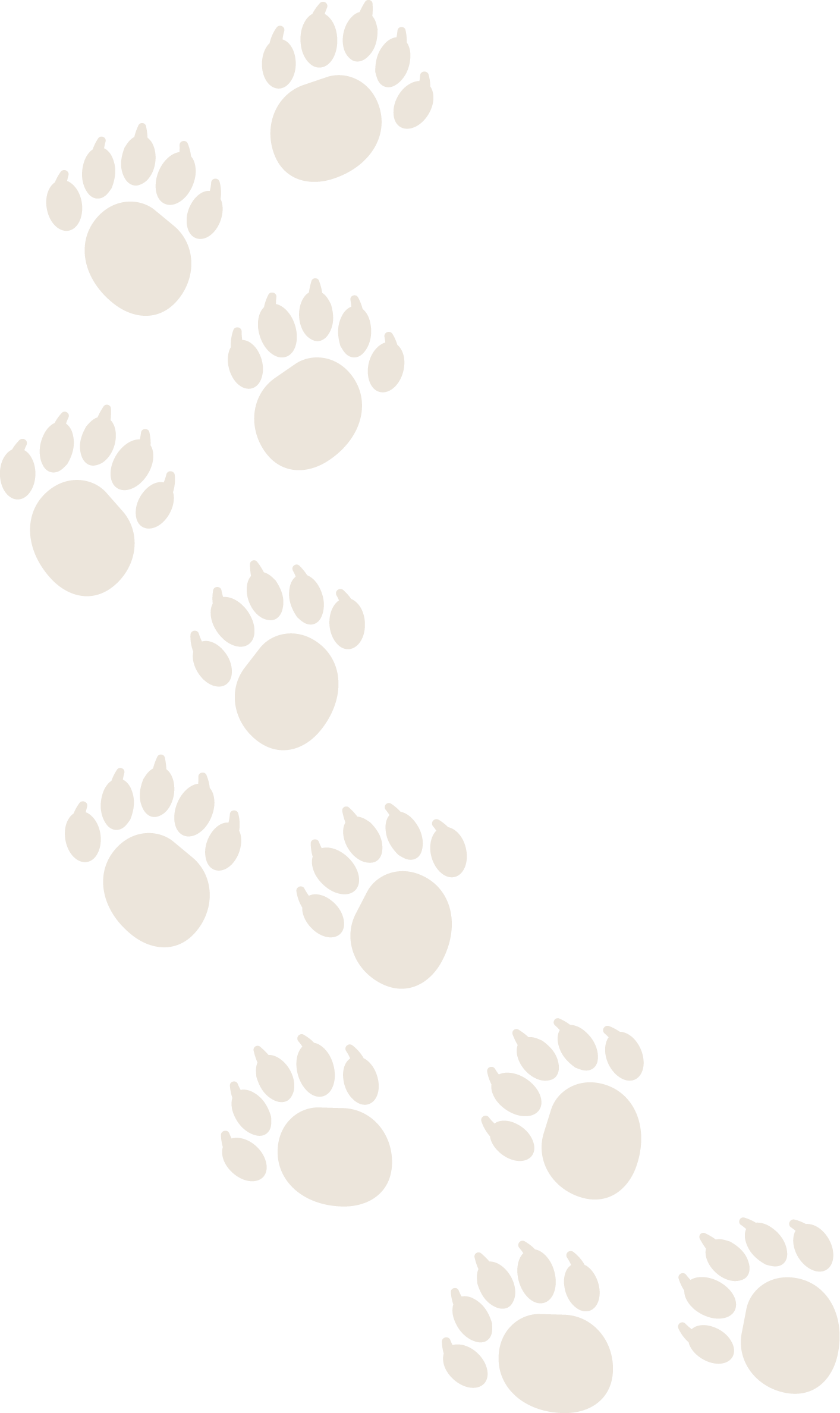 Pattern of light-colored paw prints on a black background.