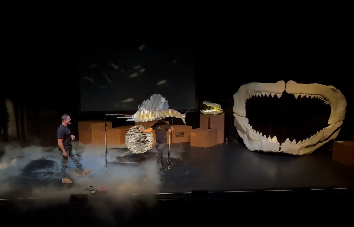 Steve Backshall - Oceans Live