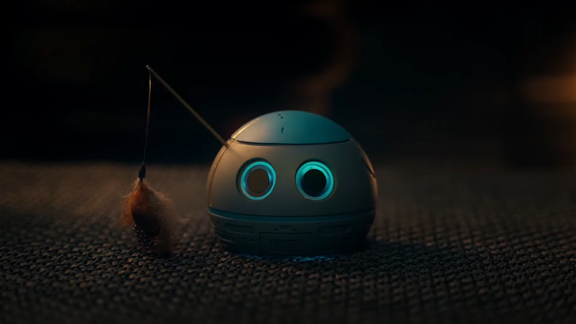 Sheba - All They Want Is Sheba