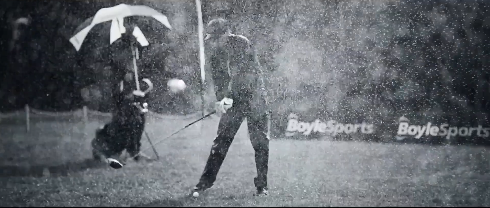 Boyle Sports - Don't Just Bet, Choose Wisely