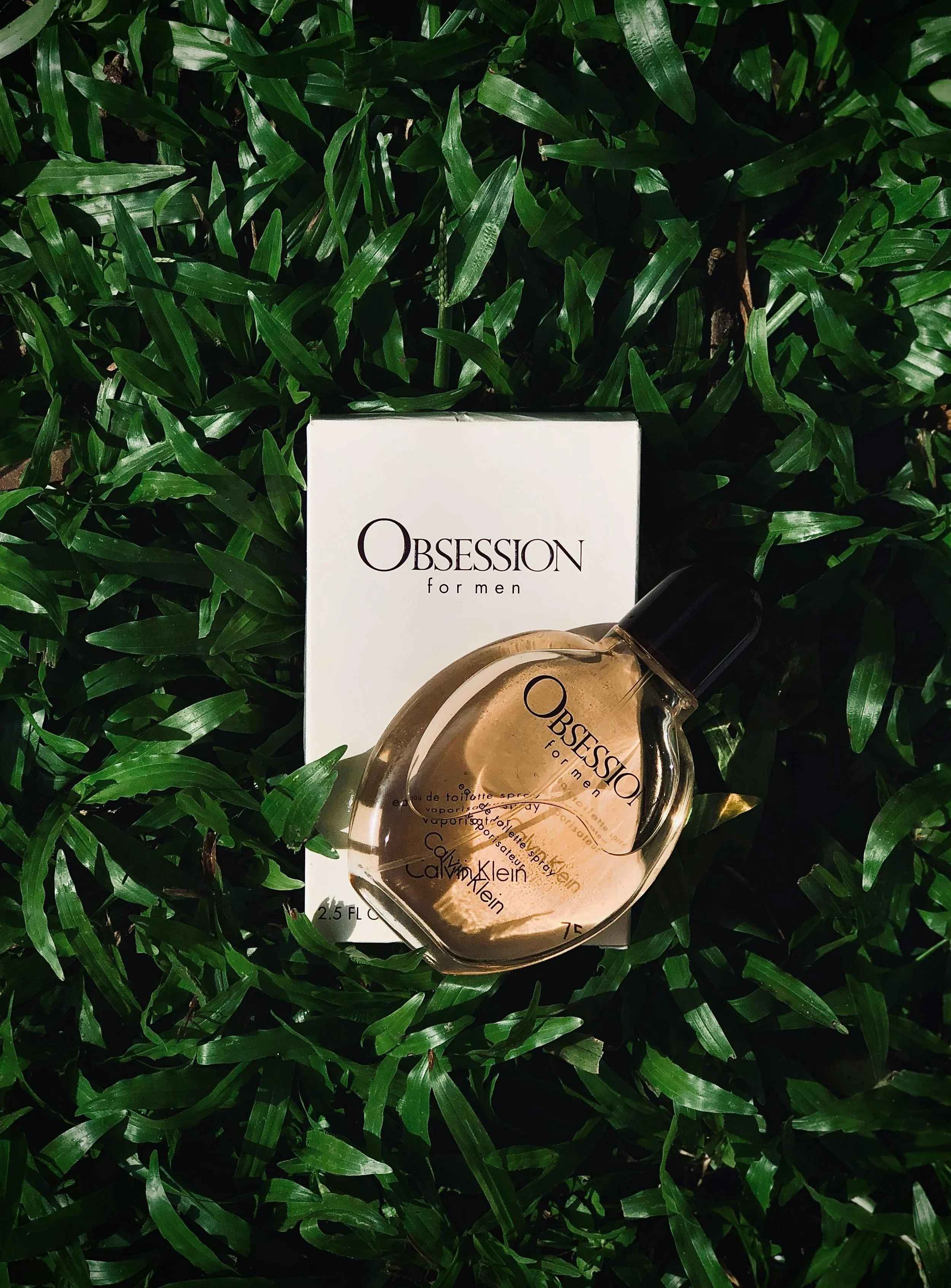 How to Buy Perfumes in Bulk (UK Guide for Retail &amp; E-commerce)