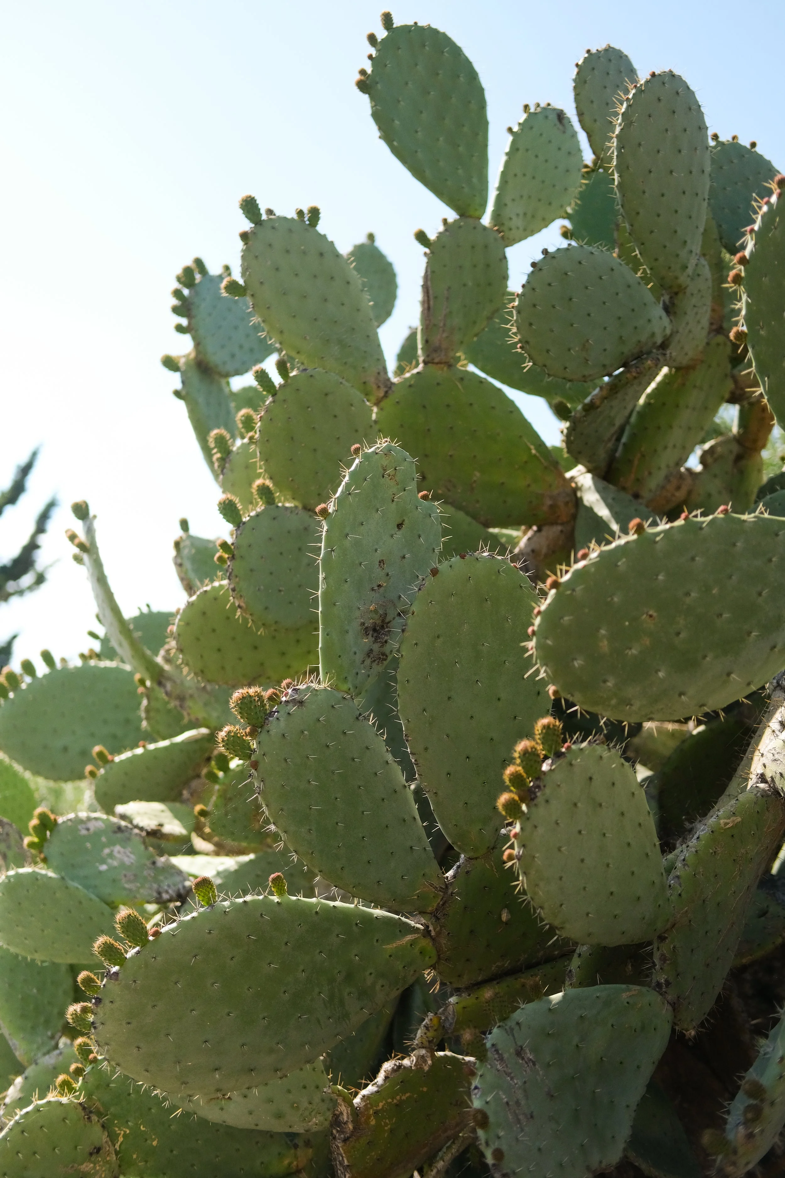 Vakantie sardinie00226.jpg