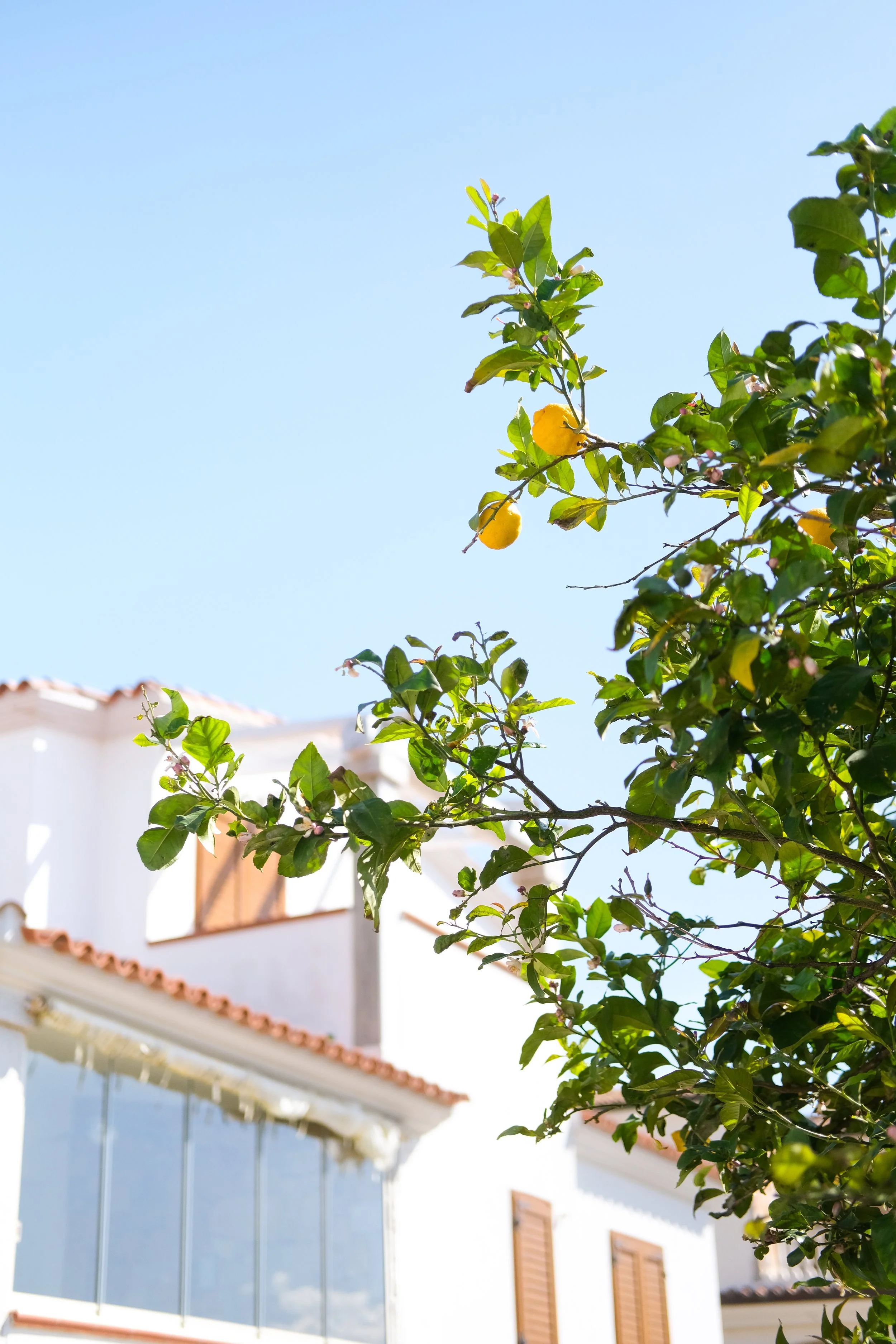 Vakantie sardinie00225.jpg