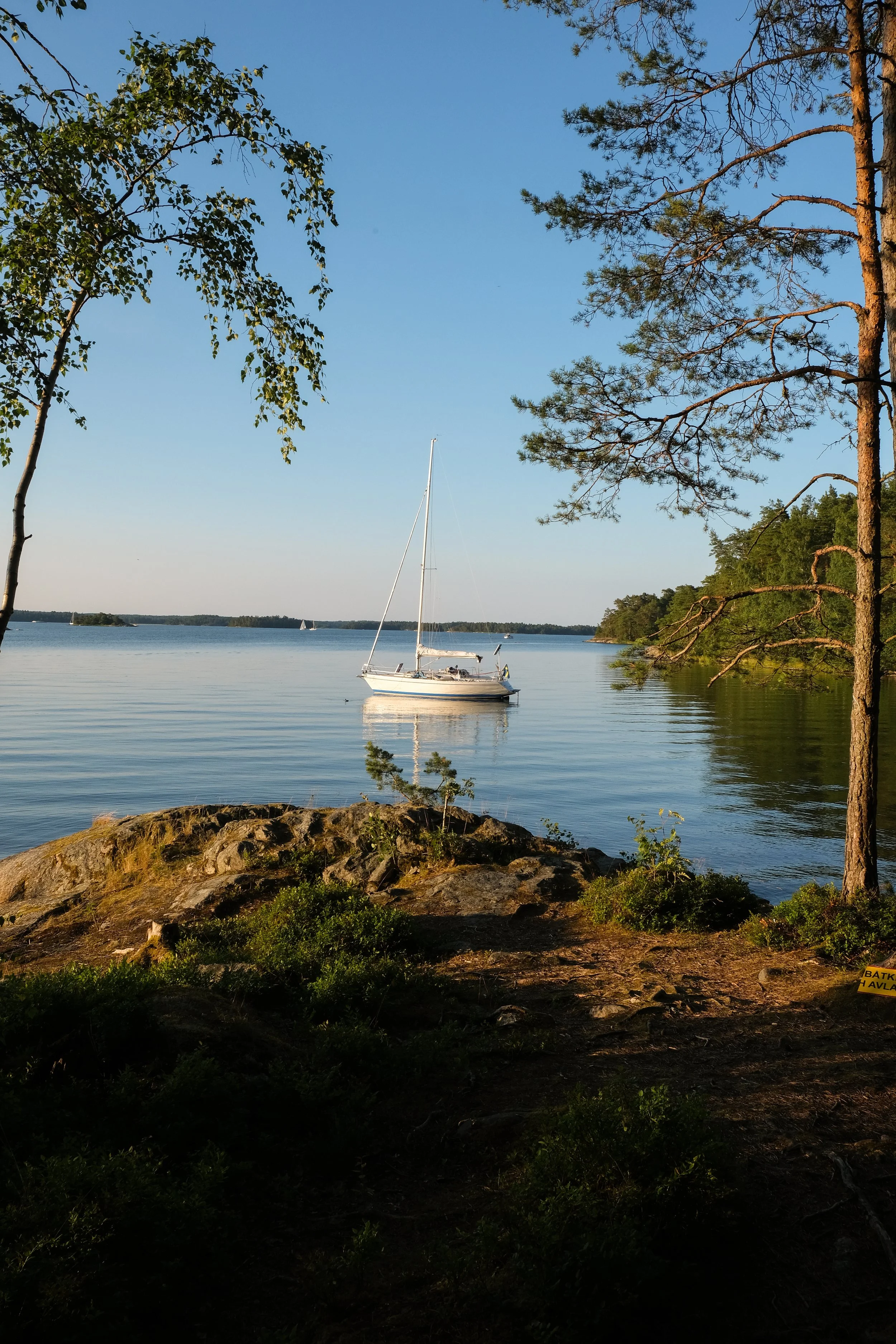 website foto's II-5.jpg
