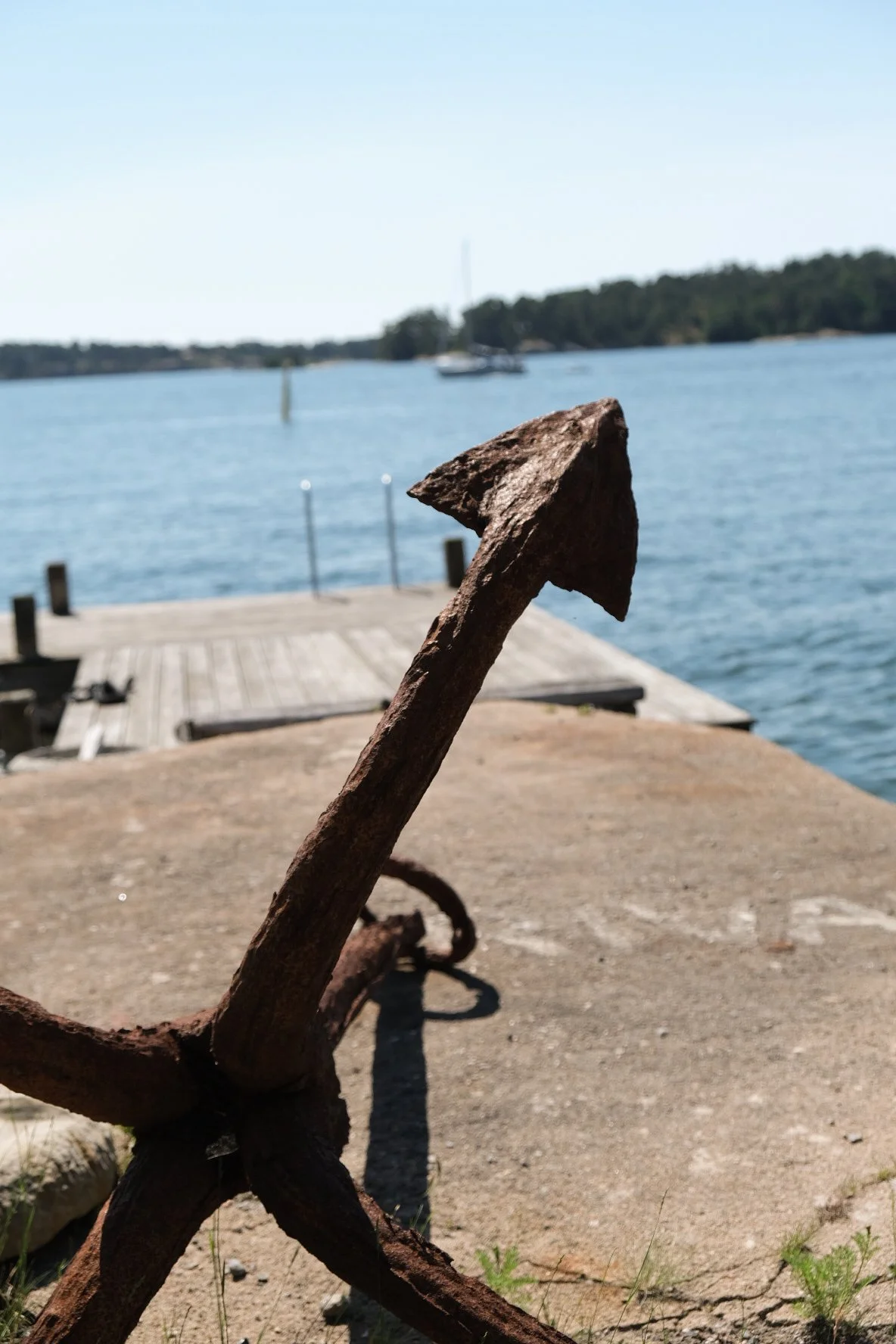 DSCF9274.JPG