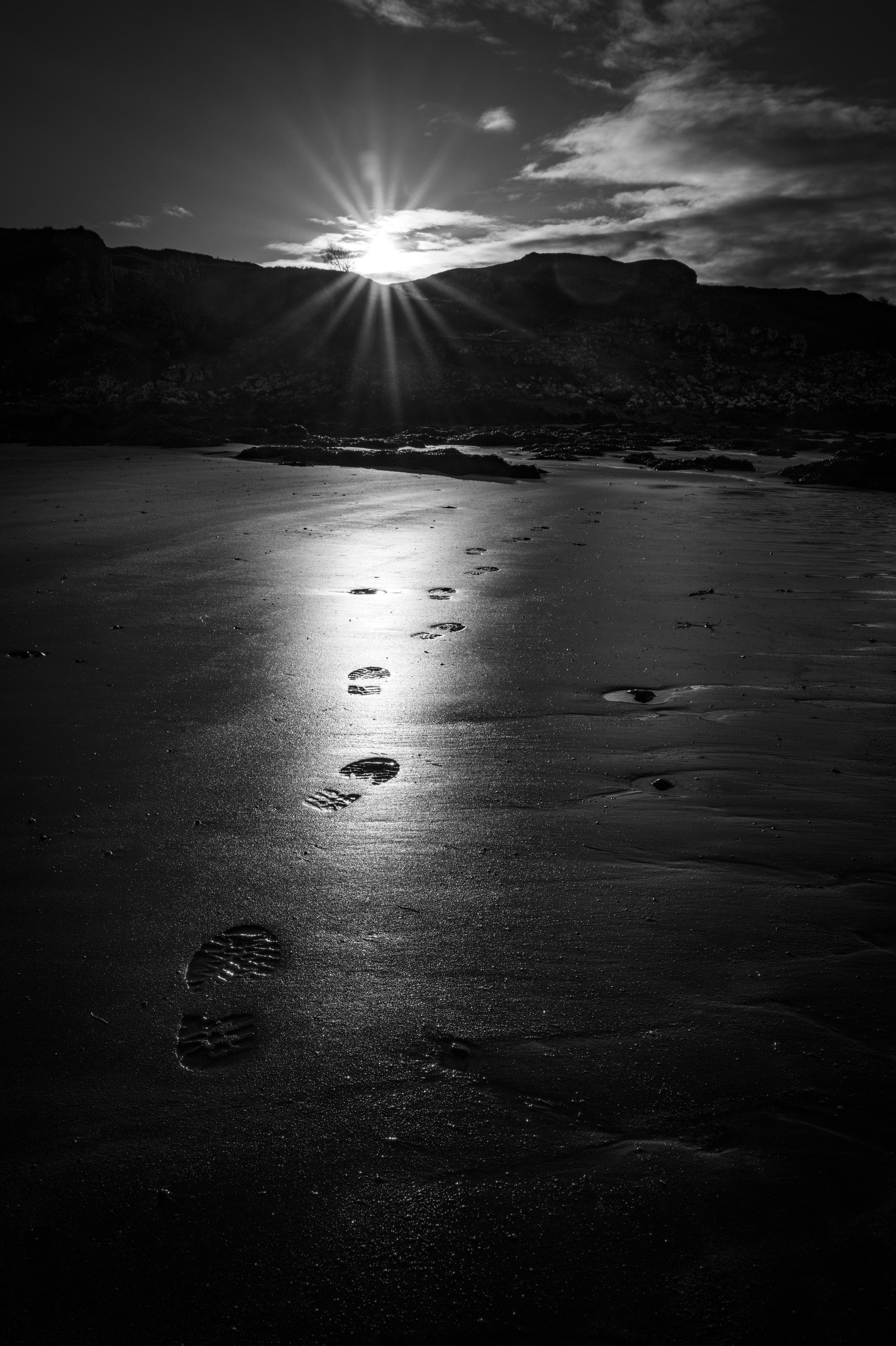 Footprints in wet sand representing evidence built through every decision.