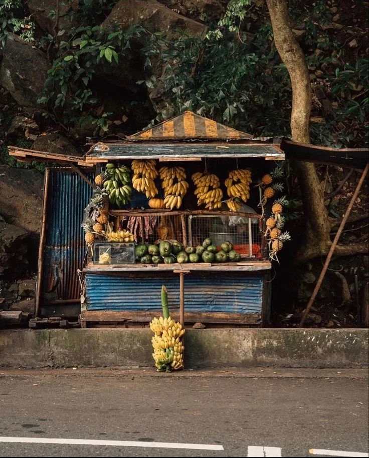Small roadside fruit stand with bananas hanging from the top and pile of bananas at the bottom, along with watermelons and pineapples.