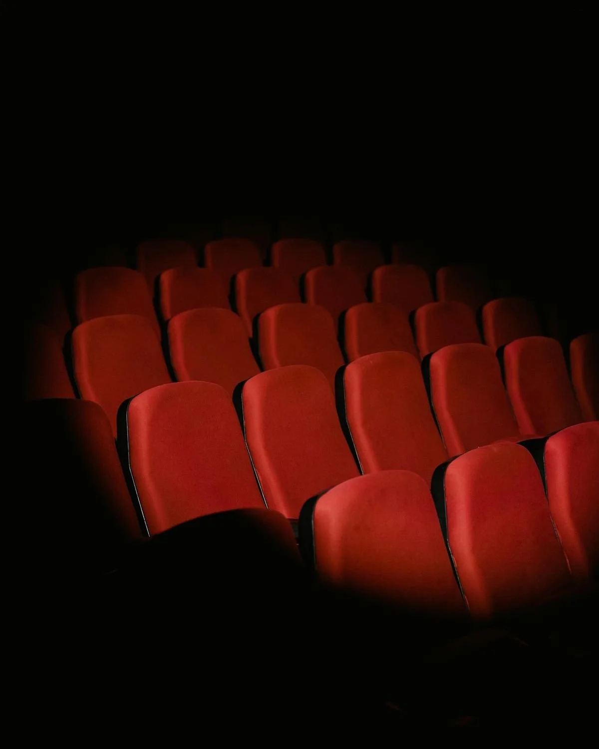 Cinema, theater and more entertainment