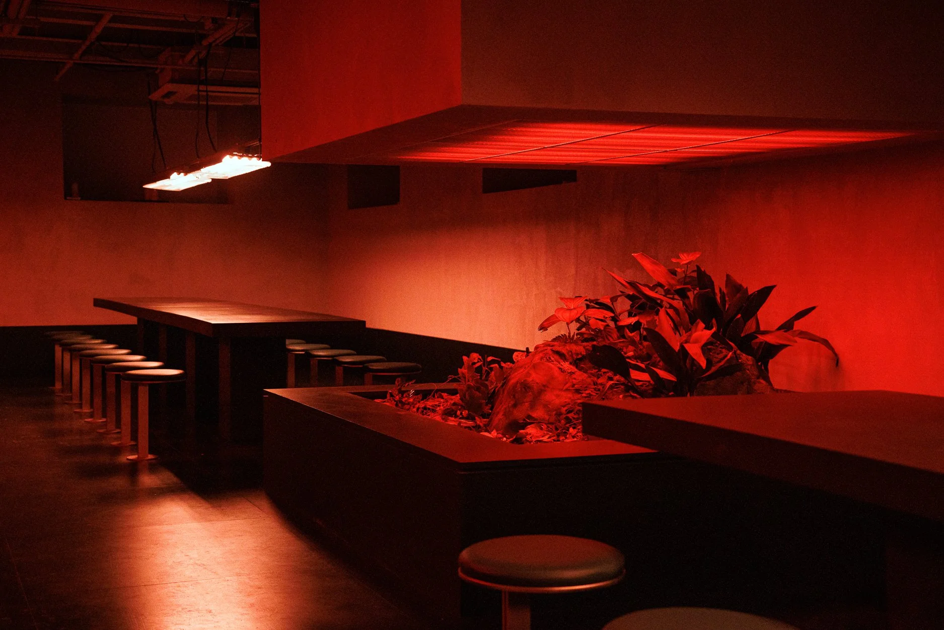SUBDIVISION NIGHT CLUB