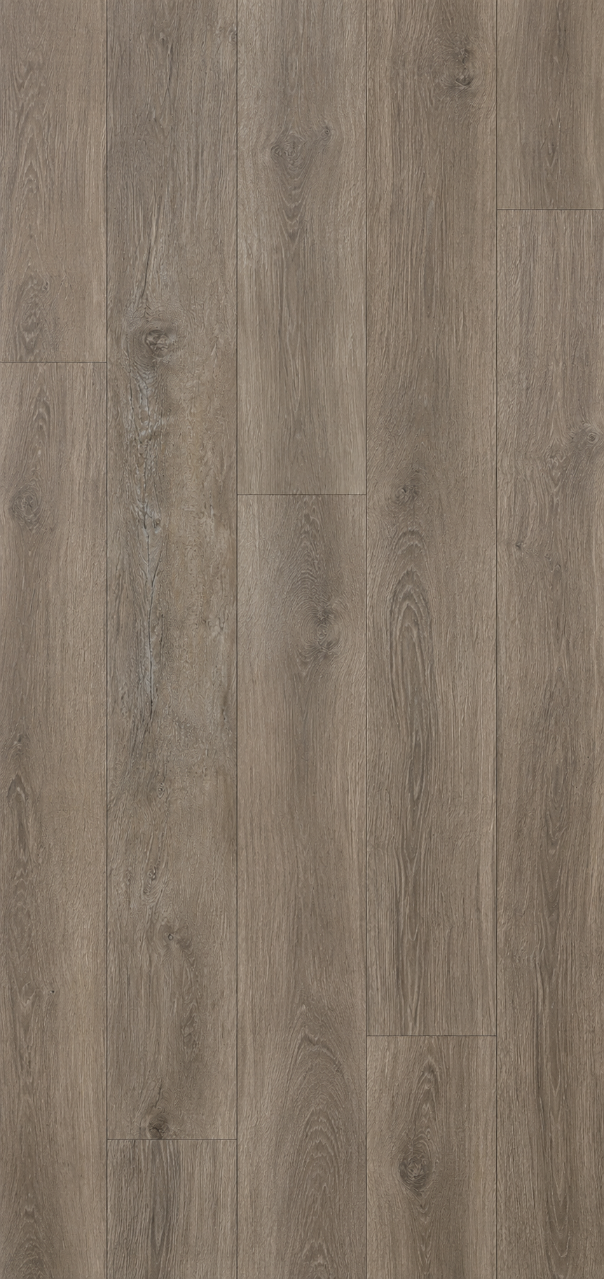 Vintage Oak (OCV6023)