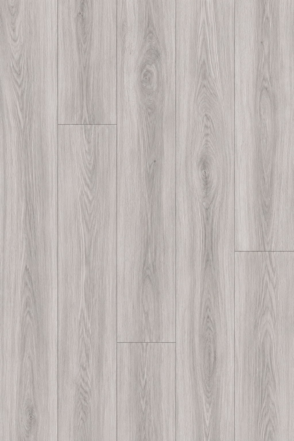 Silver Oak (FLN09)