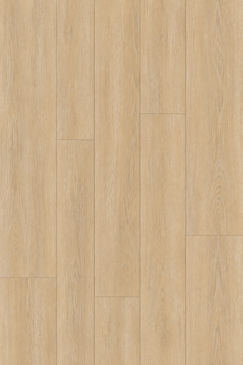 Noble Walnut (FLN02)