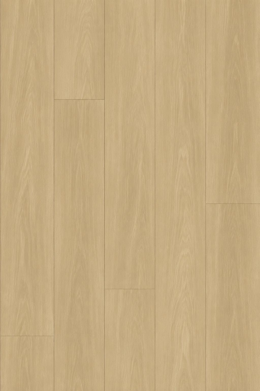 Royal Rosewood (FLN04)