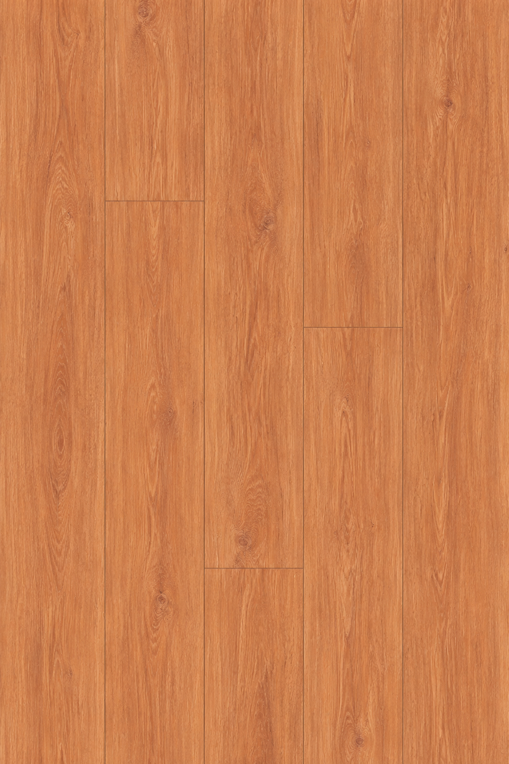 Amber Oak (FLN05)