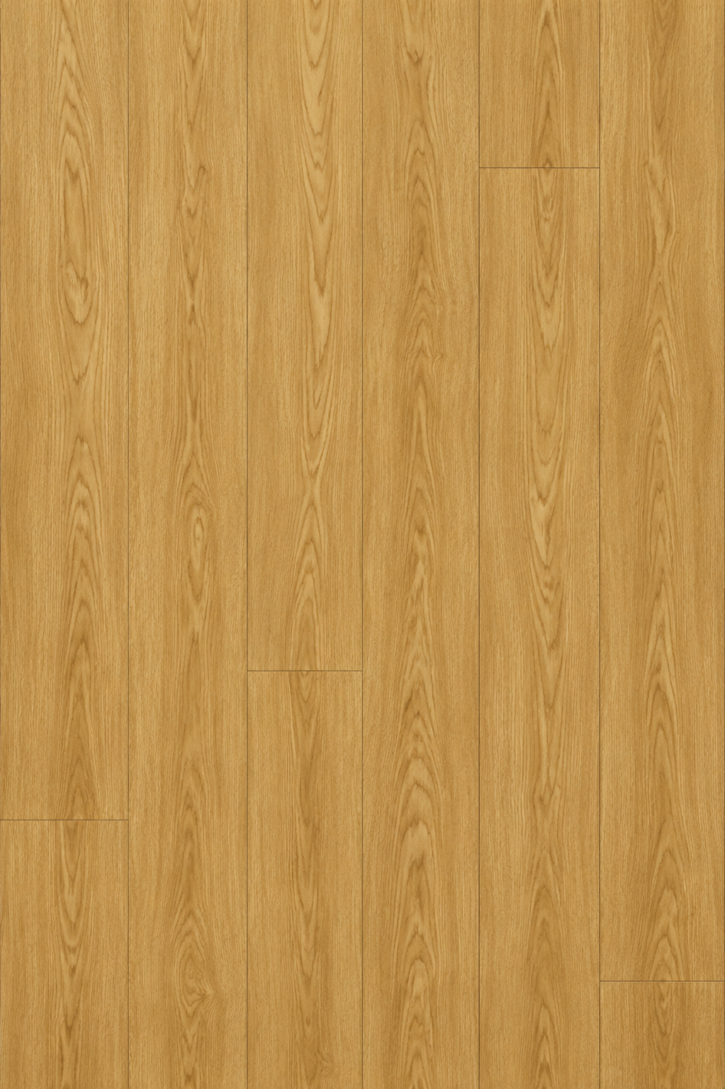 FBC01