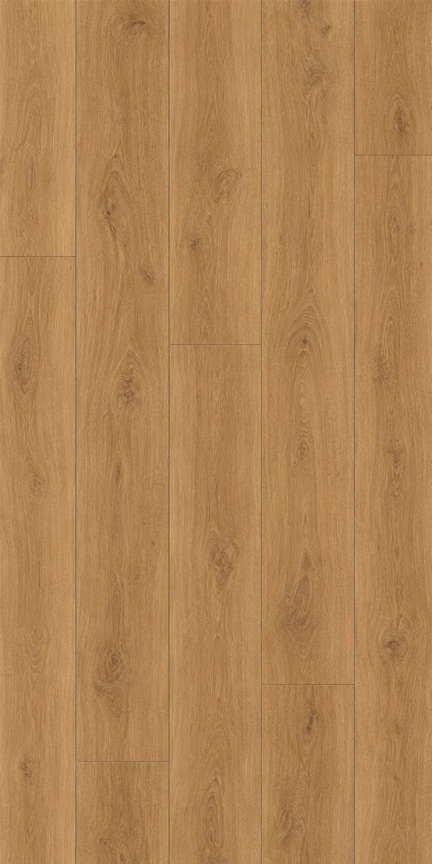 Exotic Oak (OCV6045)