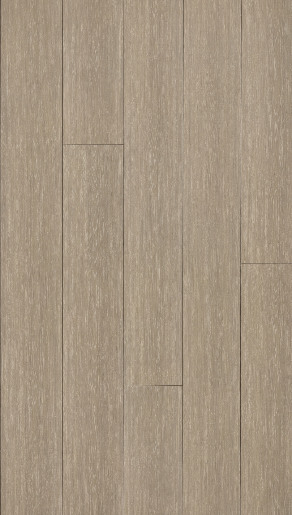 Elegant Oak (MFT09)