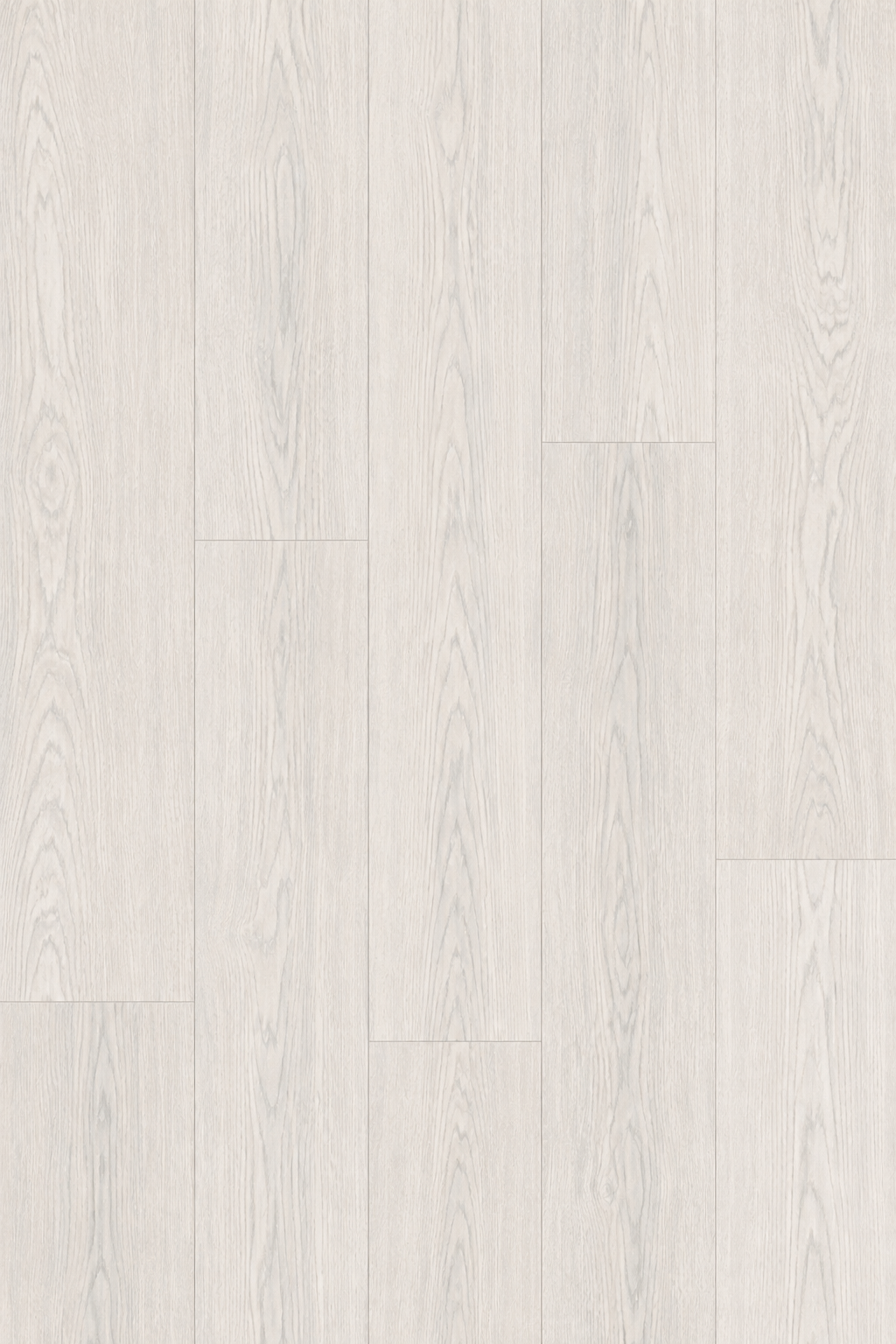 Harmony Oak (FLN01)