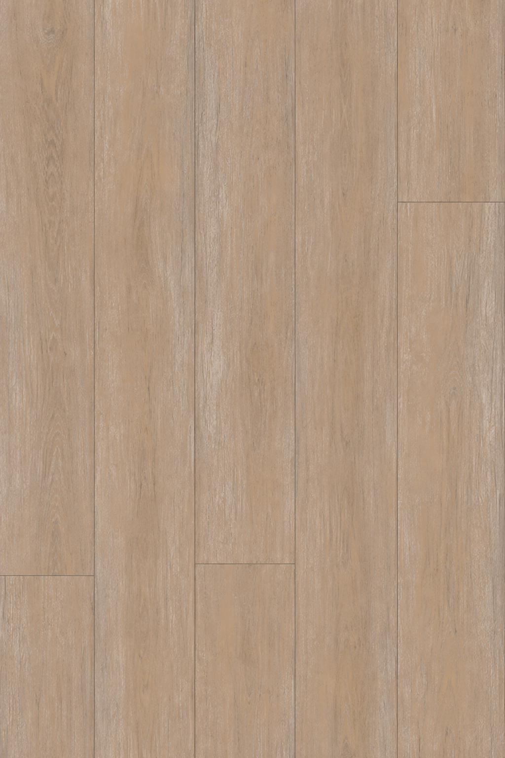 Elegant Walnut (FLN08)