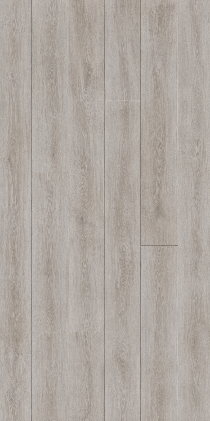 Silver Teak (OCV7312)