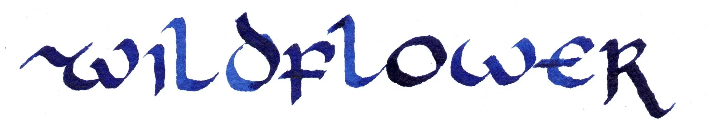 The word 'wildflower' written in blue ink in a calligraphic style.