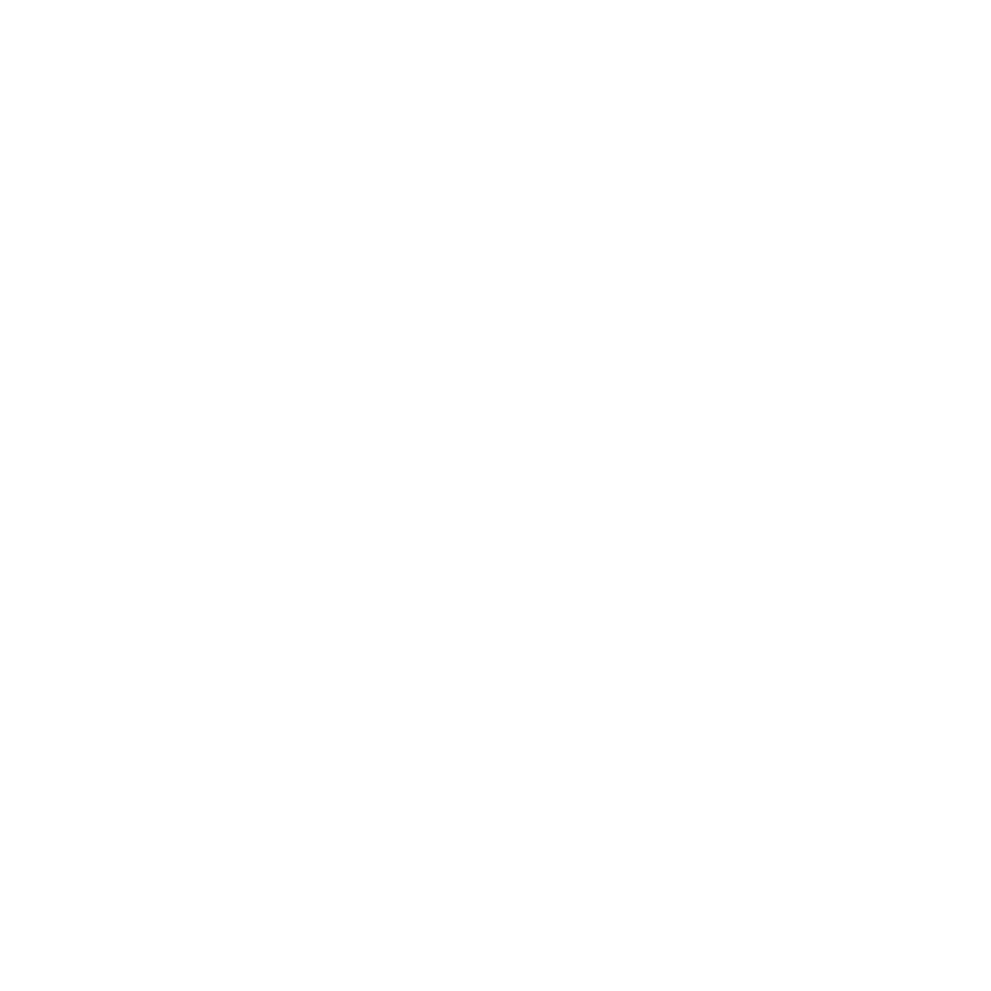 A circular logo featuring a mountain and wildflowers inside, with the text 'RISE WILD personal coaching' underneath, all in white on a black background.