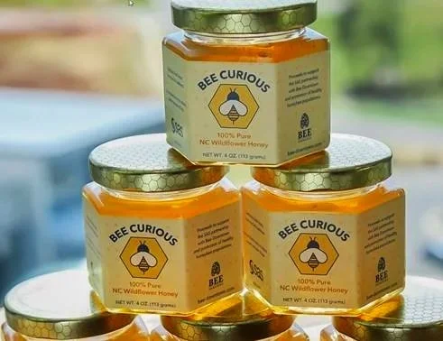 Bee Curious Honey Jars