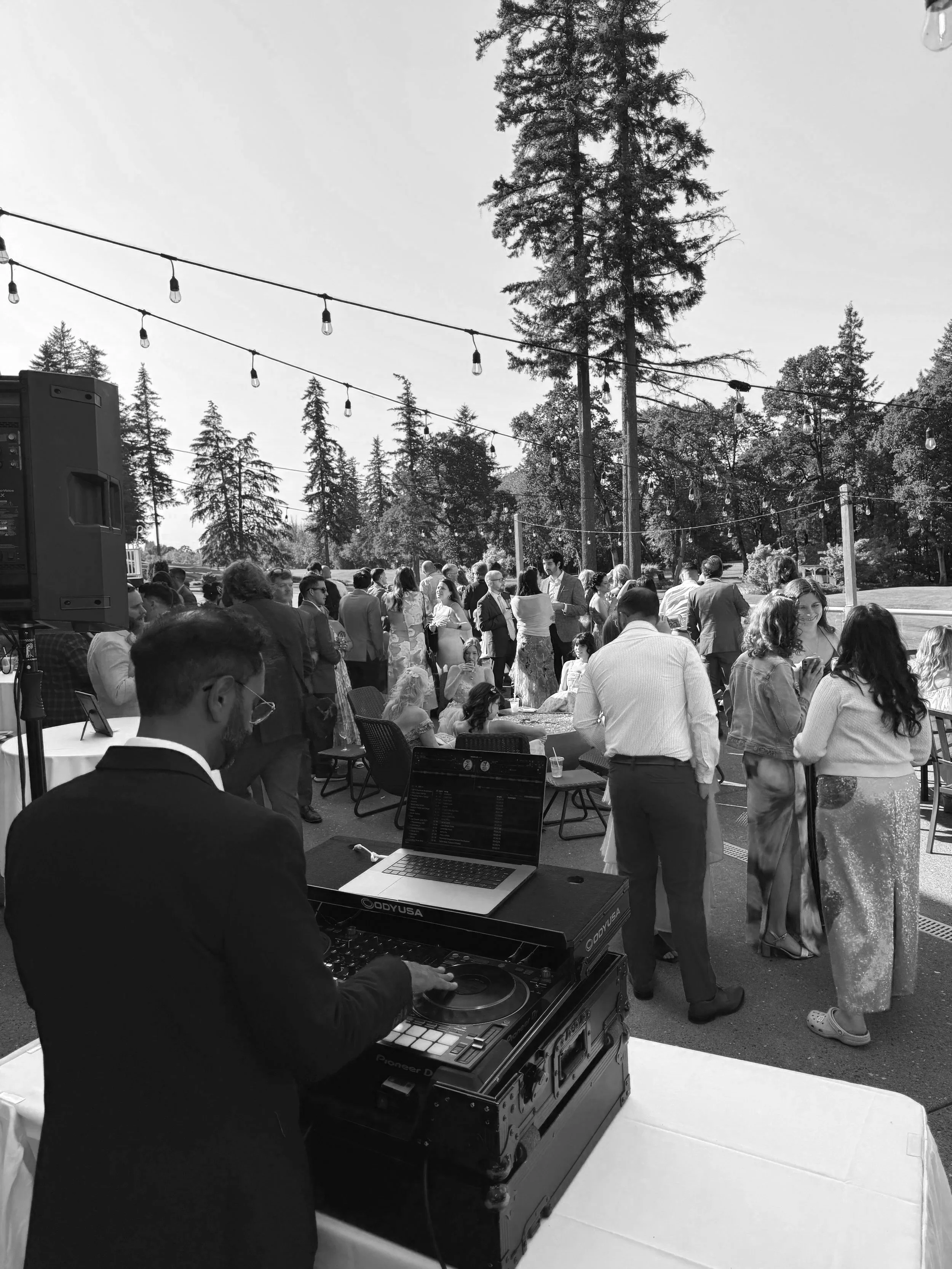 Best Wedding Vendors