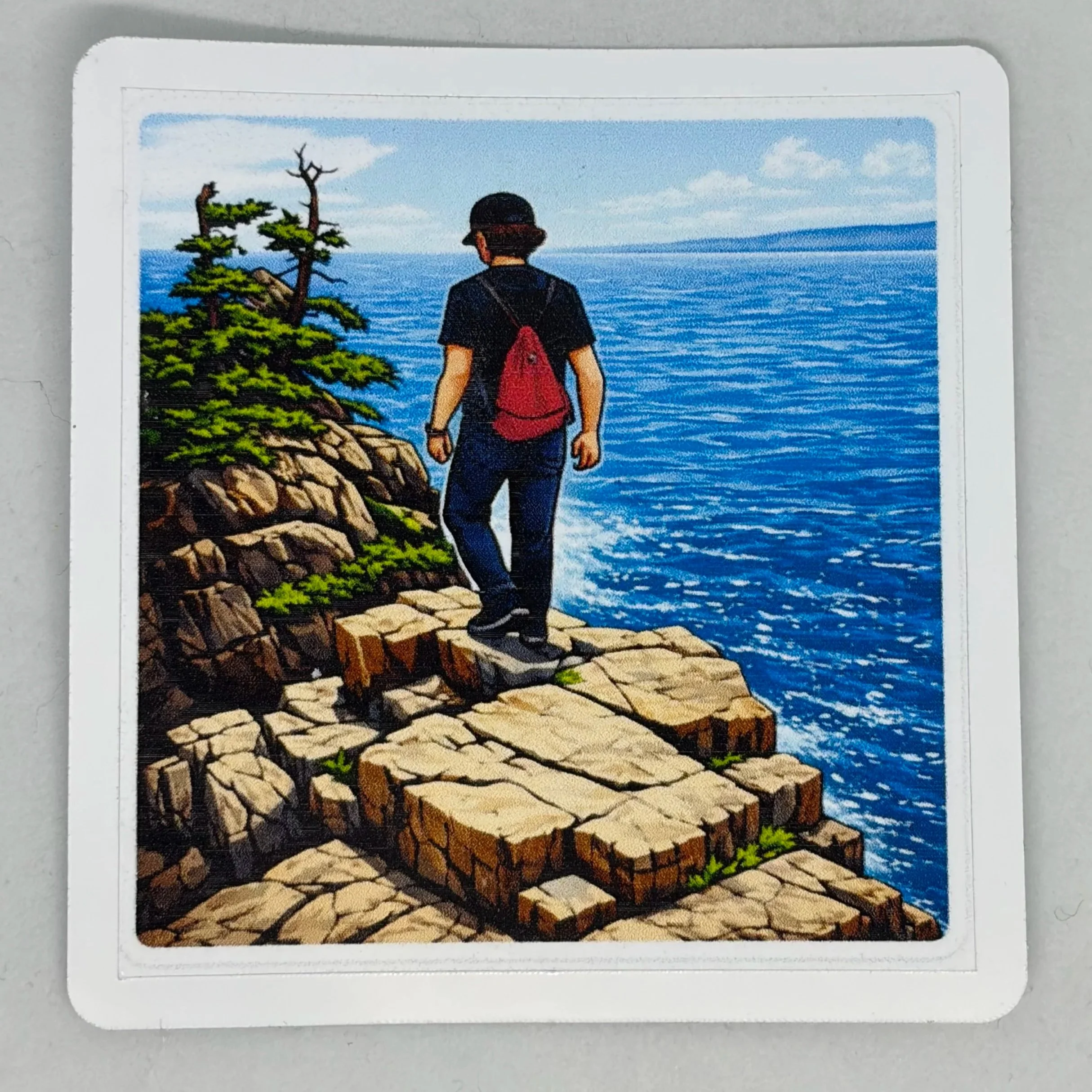 Sticker - Dwight in Acadia