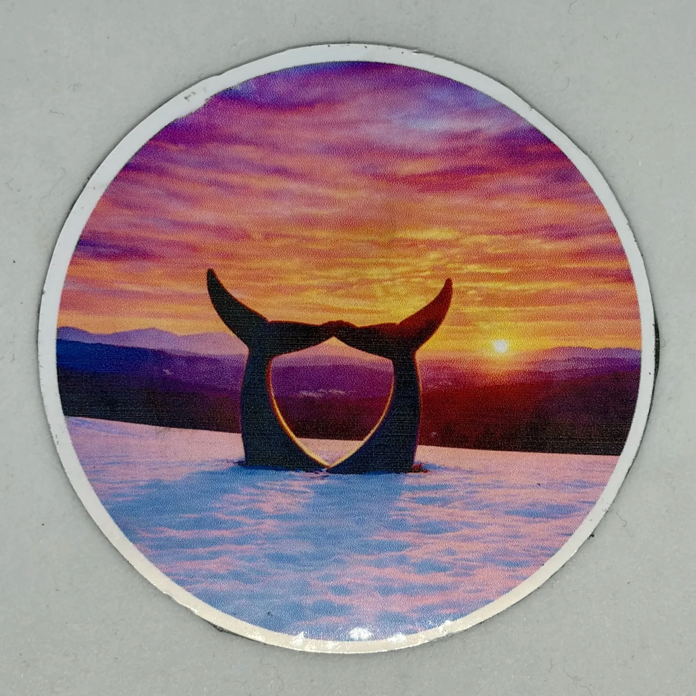 Magnet - Whale Tails